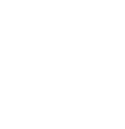elextra_logo_white